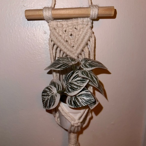 mini cream macrame plant hanger & plant - Picture 2 of 2